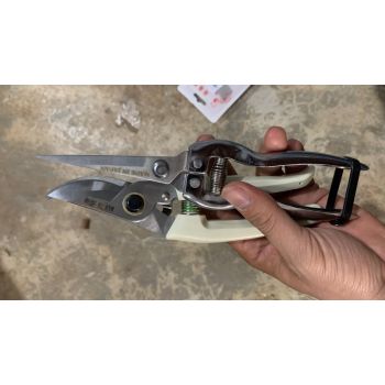 Kéo Nhọn Trắng